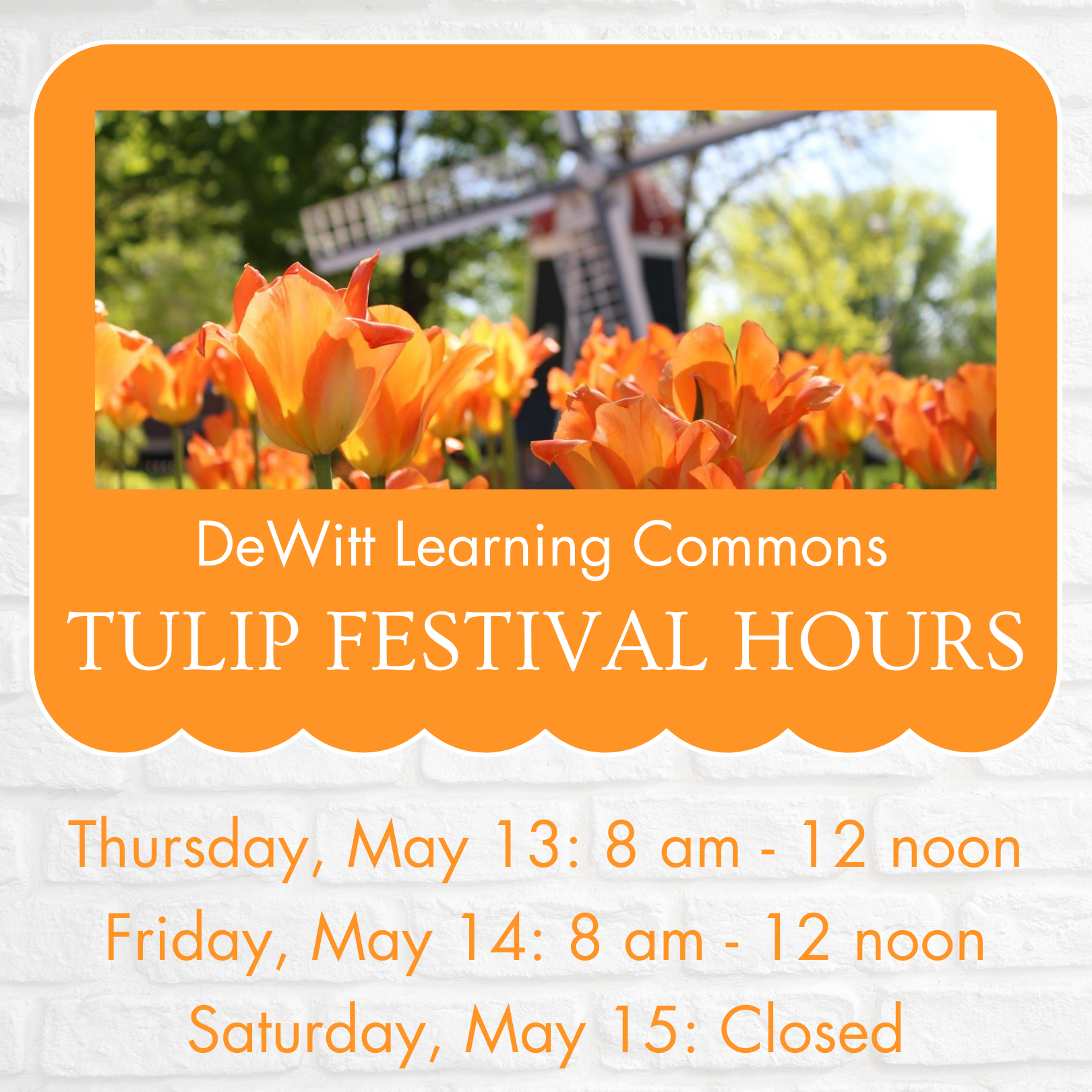 DeWitt Learning Commons Tulip Festival Hours: Thursday, May 13: 8 am - 12 noon; Friday, May 14: 8 am - 12 noon; Saturday, May 15: Closed