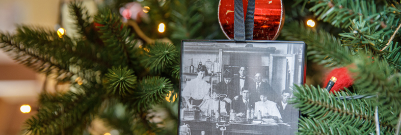 Photo of archives-themed Christmas tree