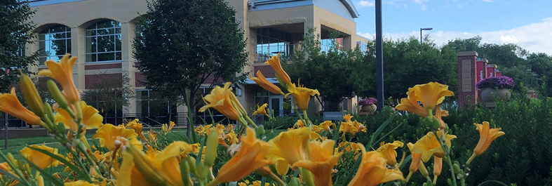 Photo of flowers in front of Learning Commons