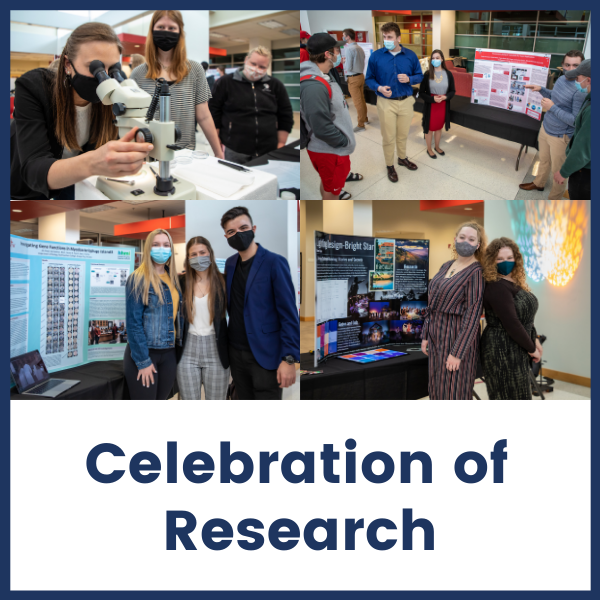 celebration of research