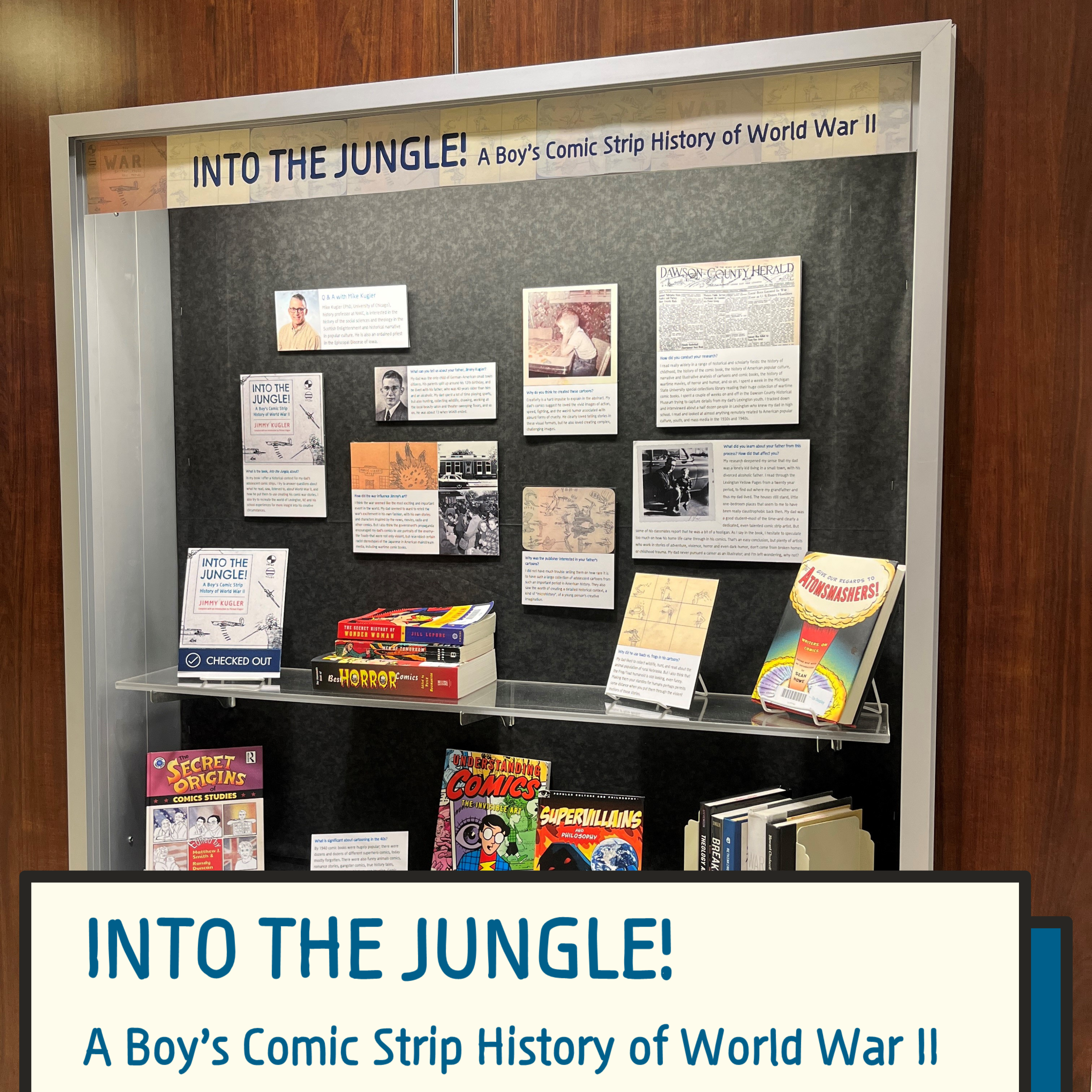 Into the Jungle!: A Boy's Comic Strip History of World War II