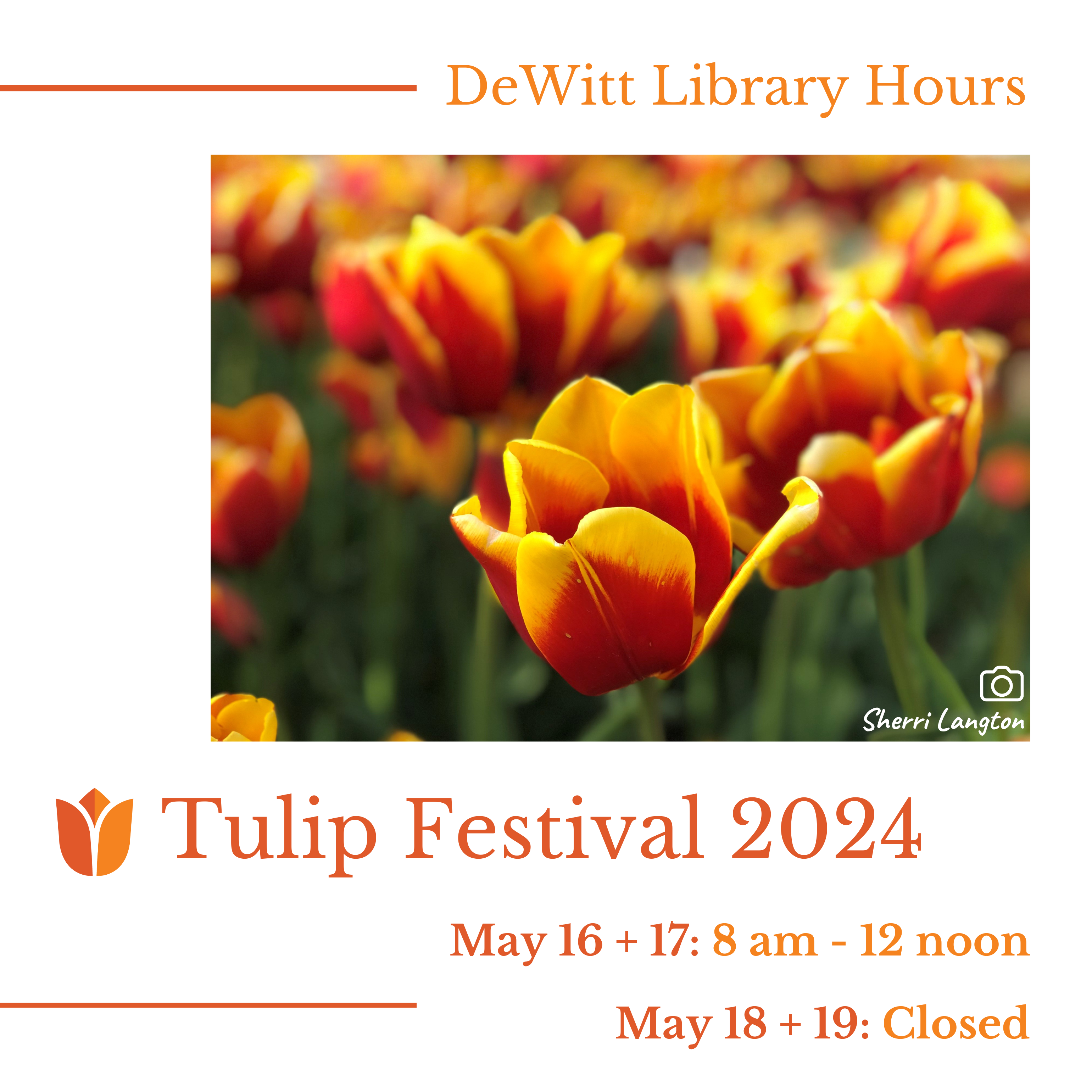 DeWitt Library Hours - Tulip Festival 2024: May 16 + 17: 8 am - 12 noon; May 18 + 19: Closed.